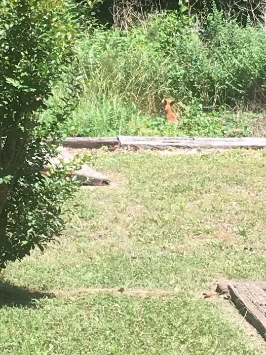 Prairie Creek Picture 4