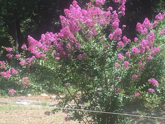 Prairie Creek Picture 7