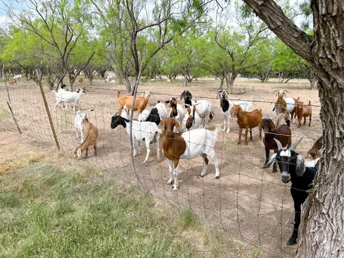 Fishing RV park Picture 4