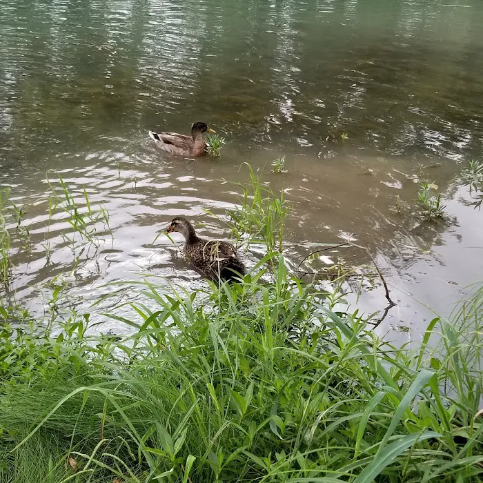 Mertzon RV PARK Picture 8