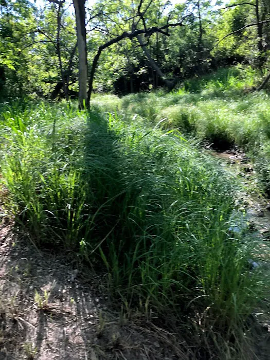 West Texas RV Park Picture 9