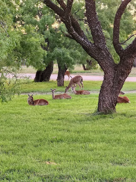 Wildcat RV and Paint Creek MH Parks Picture 1