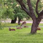Wildcat RV and Paint Creek MH Parks