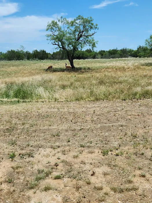 Wildcat RV and Paint Creek MH Parks Picture 3