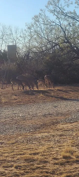 Wildcat RV and Paint Creek MH Parks Picture 9