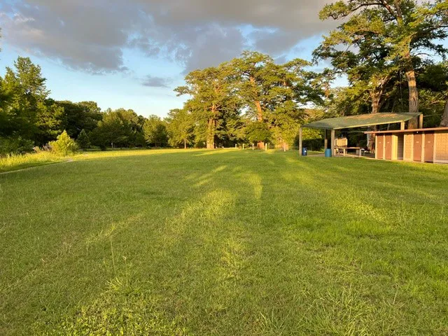 Blue Oak RV Park Picture 6