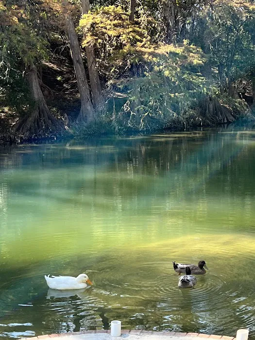 Blue Oak RV Park Picture 5