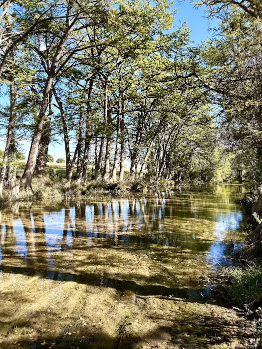 RVPadResort Picture 8