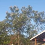 Hideaway Mobile Home Park