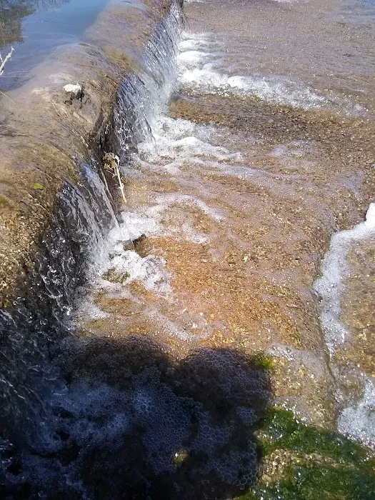 Riverside RV Park Picture 7