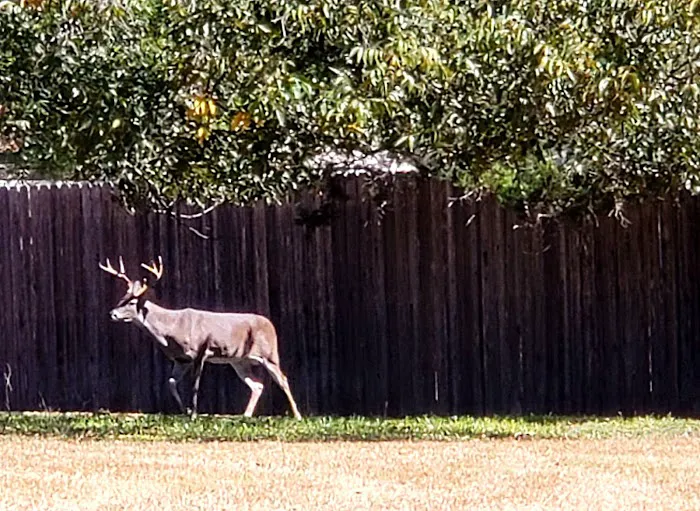 Ingram Lake RV Park Picture 3