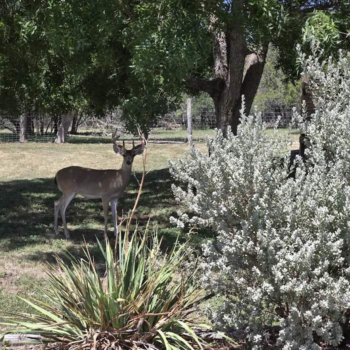 Ingram Lake RV Park Picture 6
