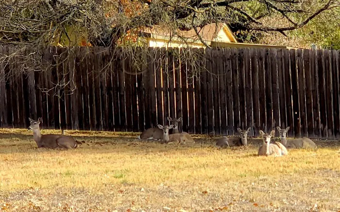 Ingram Lake RV Park Picture 4