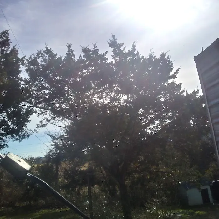 Armadillo Junction RV Park Picture 6