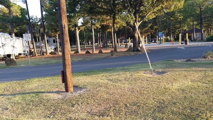 Armadillo Junction RV Park Picture 2