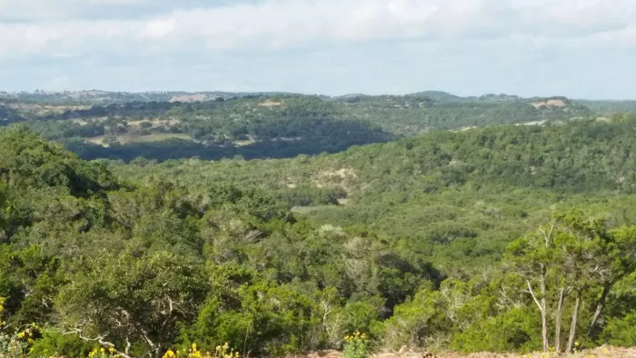 Armadillo Junction RV Park Picture 5