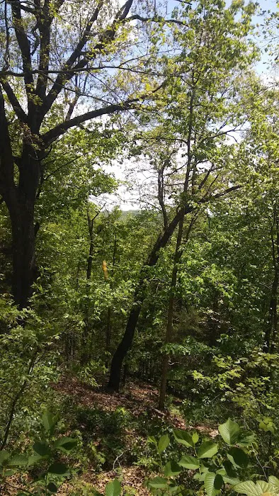 At Ease RV Park Picture 2