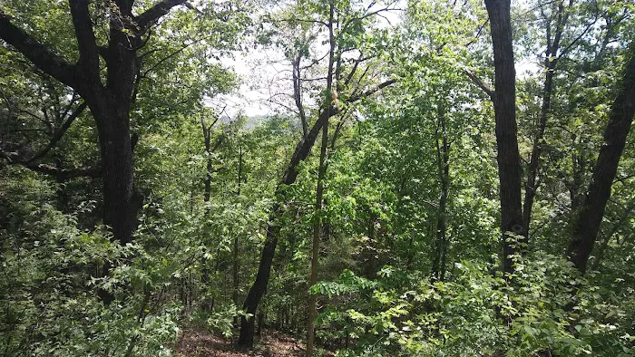 At Ease RV Park Picture 5