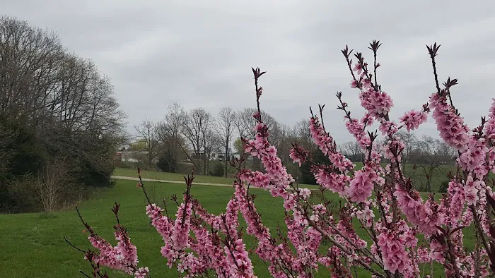 Stones Mobile Home & RV Park Picture 6