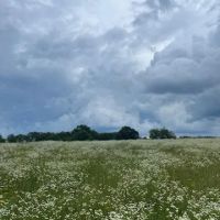 Highlandville Mobile Homes ico