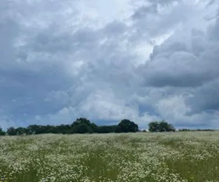 Highlandville Mobile Homes