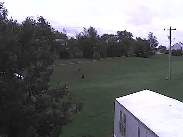 Highlandville Mobile Homes Picture 7