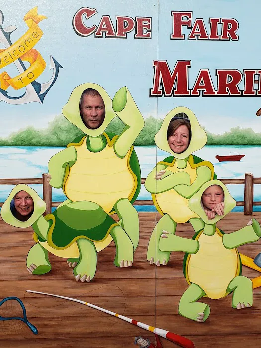 Sunset Ridge Mobile Home Park and rv's Picture 8