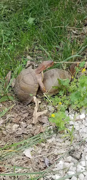 Sunset Ridge Mobile Home Park and rv's Picture 10