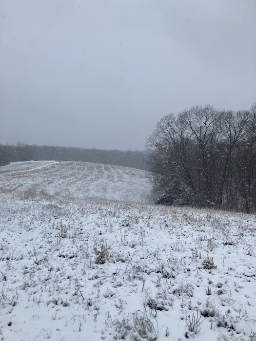 Kane Mountain Picture 4