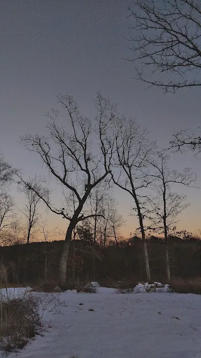 River Myst RV Picture 4