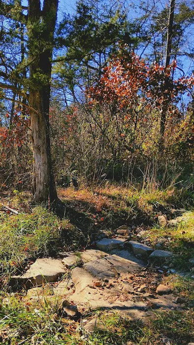 River Myst RV Picture 2