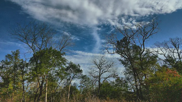 River Myst RV Picture 1