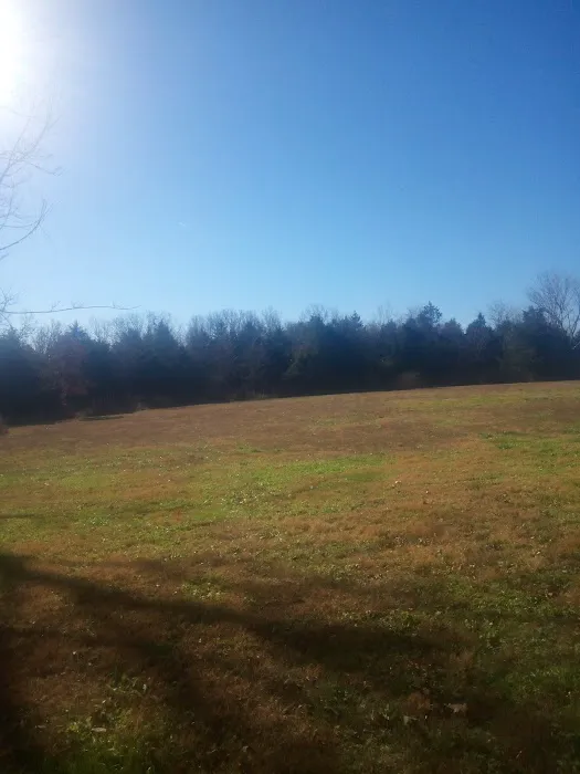 River Myst RV Picture 10