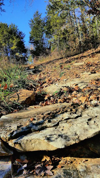 River Myst RV Picture 6