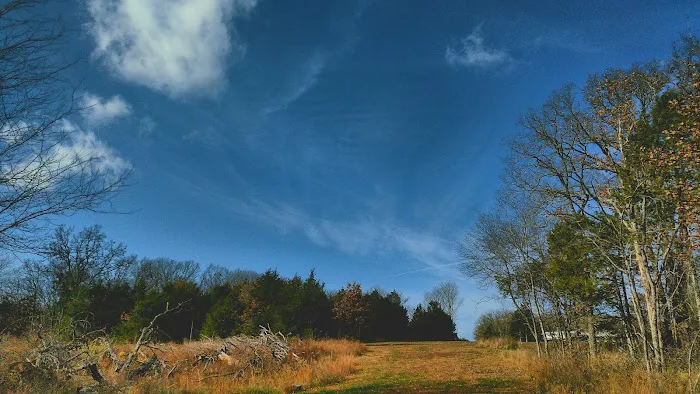 River Myst RV Picture 7