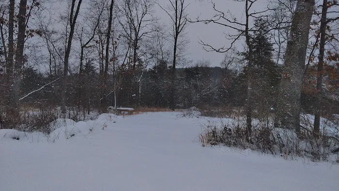 River Myst RV Picture 9