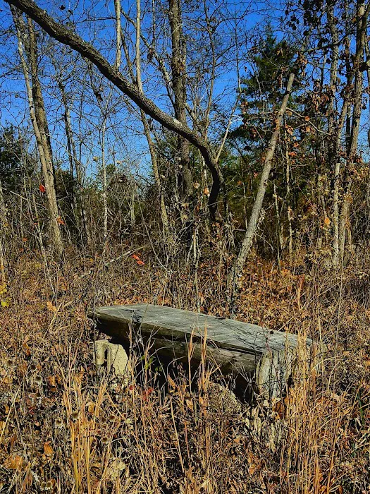 River Myst RV Picture 8