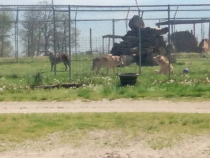 God's Country RV Park Picture 5