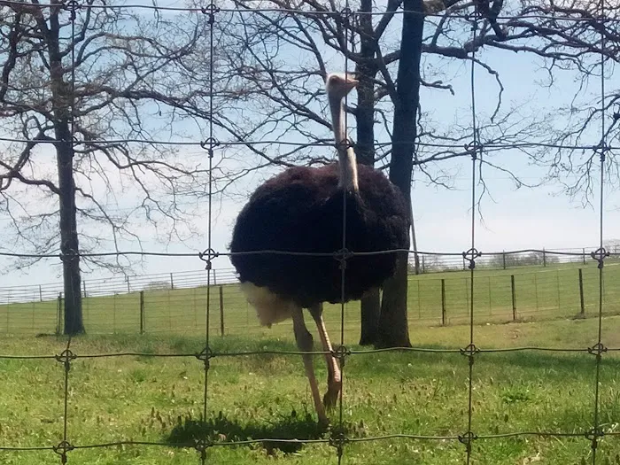 God's Country RV Park Picture 3