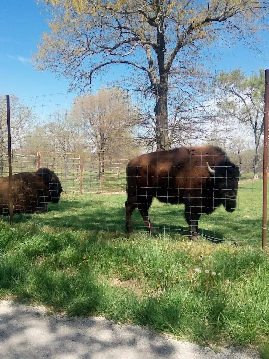 God's Country RV Park Picture 6