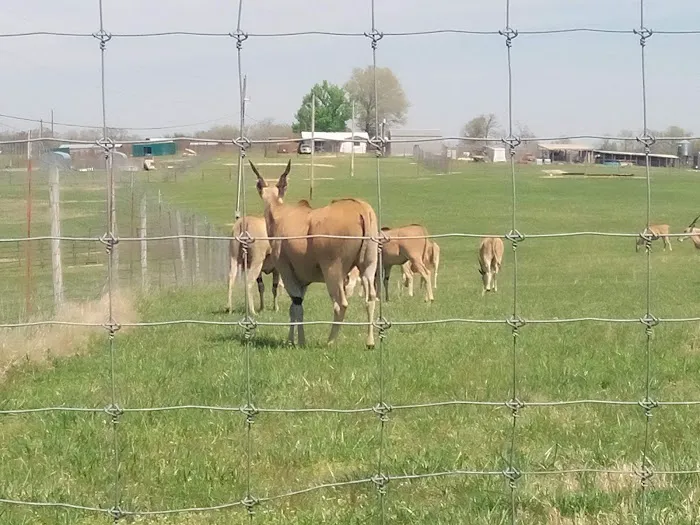 God's Country RV Park Picture 7