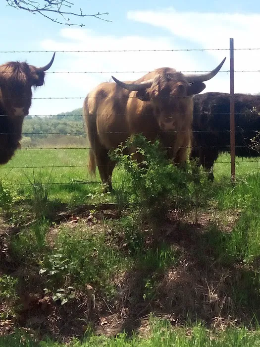 God's Country RV Park Picture 8