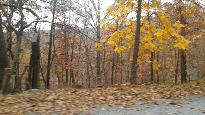 Yacht Club Picture 7