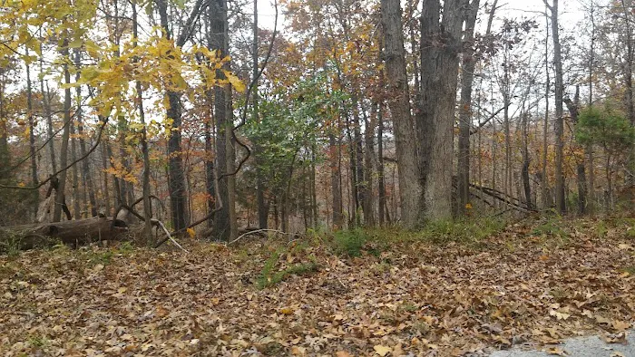 Yacht Club Picture 9