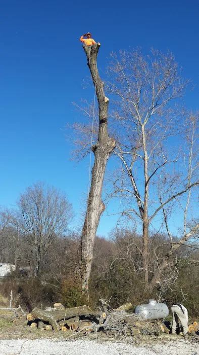 Rogers Pea Ridge Garden RV Picture 1