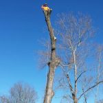 Rogers Pea Ridge Garden RV