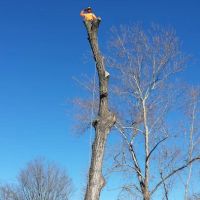 Rogers Pea Ridge Garden RV ico