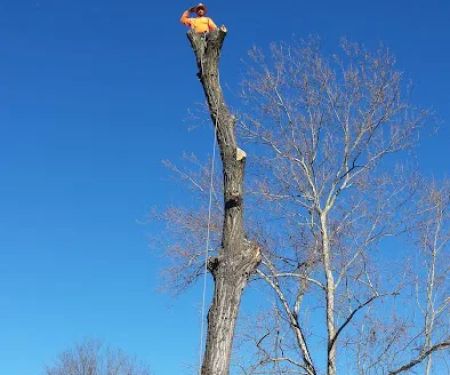 Rogers Pea Ridge Garden RV