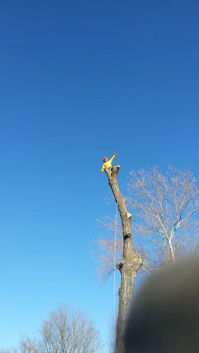 Rogers Pea Ridge Garden RV Picture 5