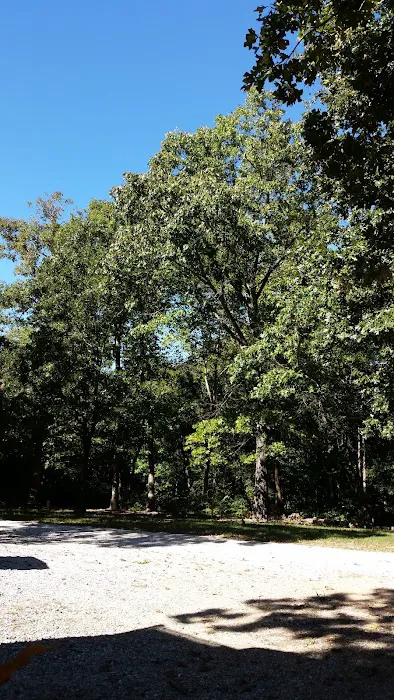 Rogers Pea Ridge Garden RV Picture 4